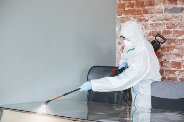 Mold Odor Removal Services in Mays Chapel, MD